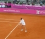 FED CUP 2009